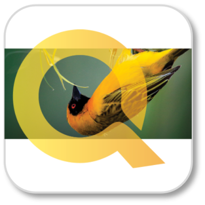 Contact - MyQ